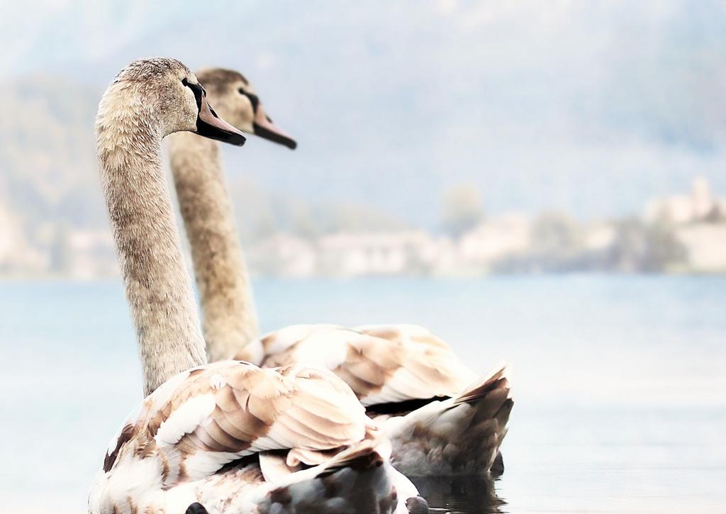 Ellilerin Abiye Kumaş Çeşitleri 🧵