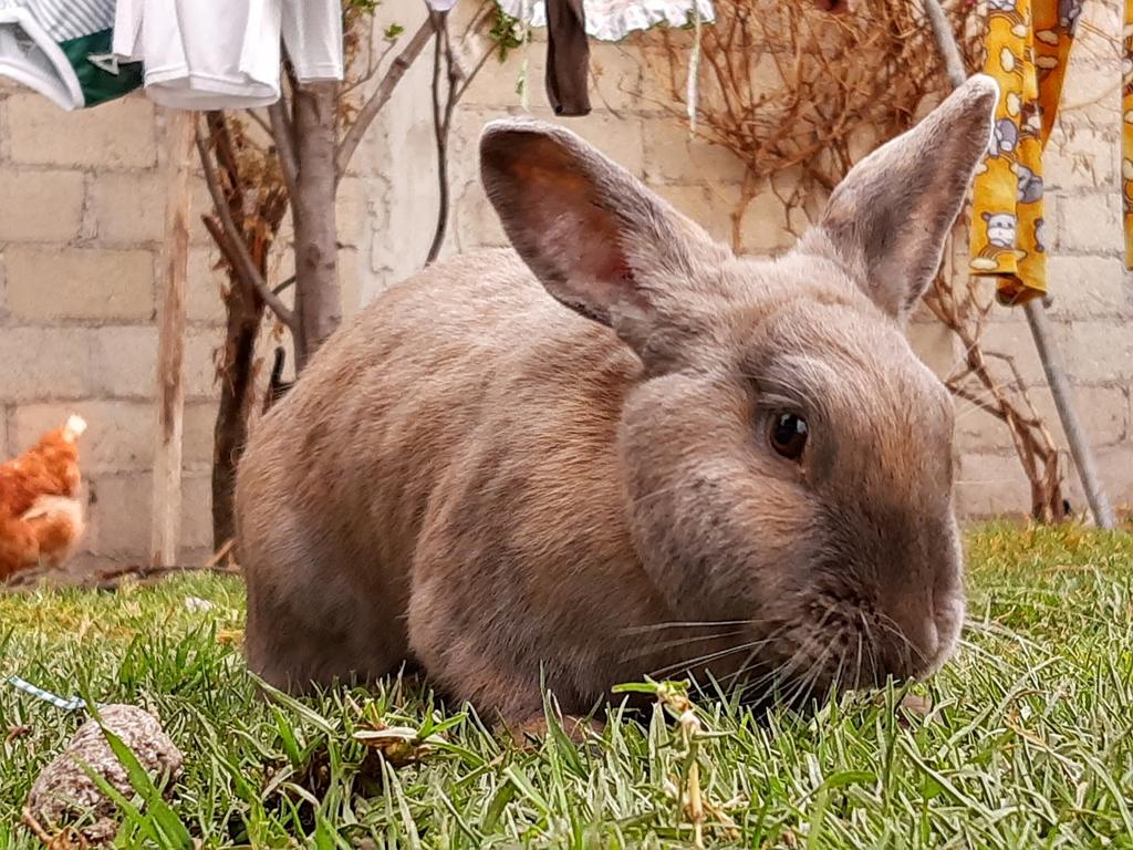 Gri Kadife Kumaş Çeşitleri 🧵