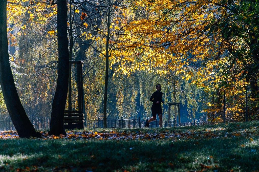 Runner Kumaş Çeşitleri