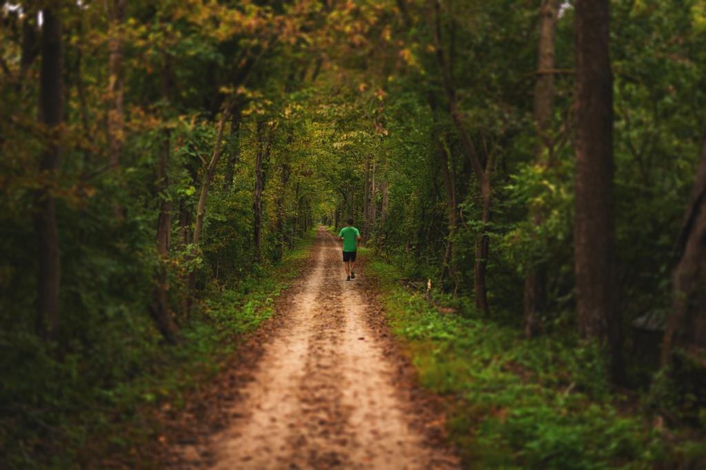 Runner Kumaşlar Çeşitleri